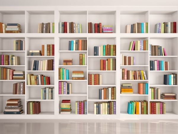Bookshelf Assembly in Freehold