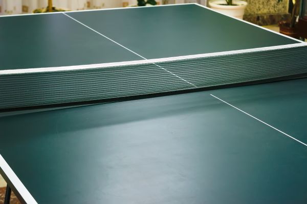 Ping Pong Table Assembly in Freehold